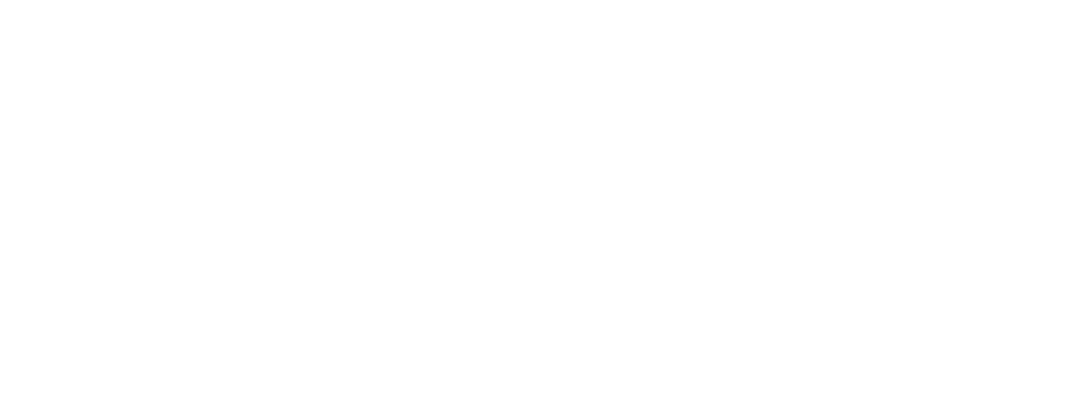 Abundant Beginnings Co.